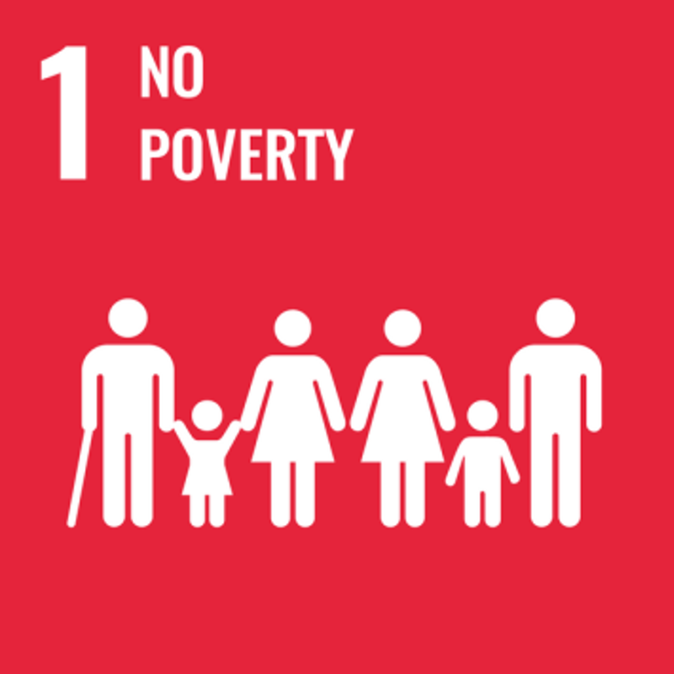 SDG1 Icon