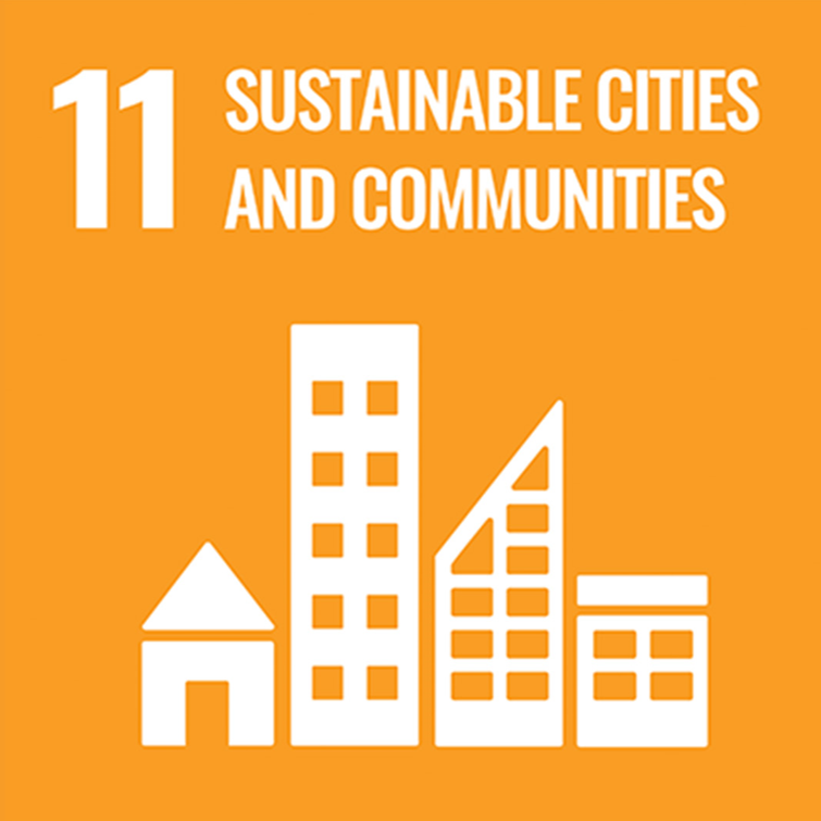 SDG11 Icon