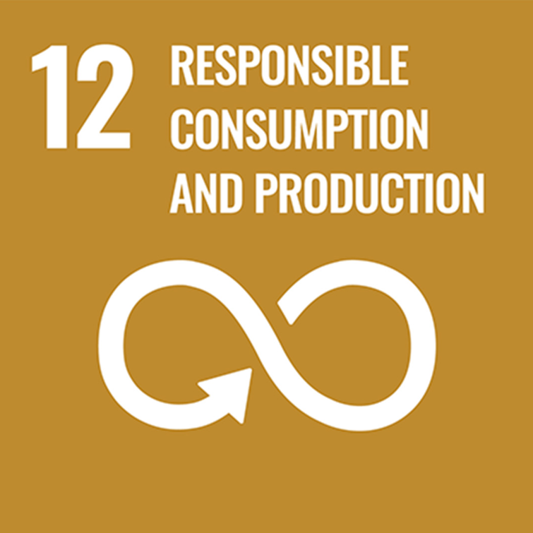 SDG12 Icon