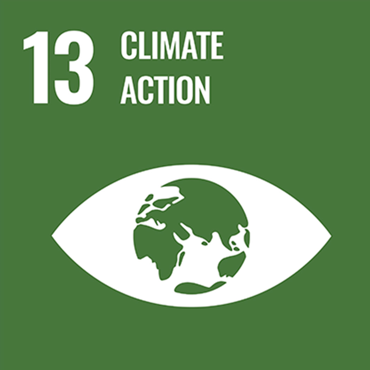 SDG13 Icon