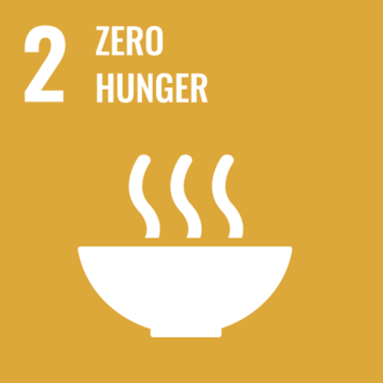 SDG2 Icon