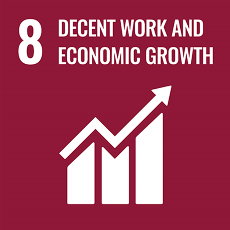 SDG8 Icon