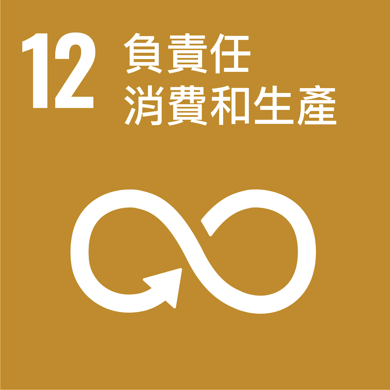 SDG12 Icon